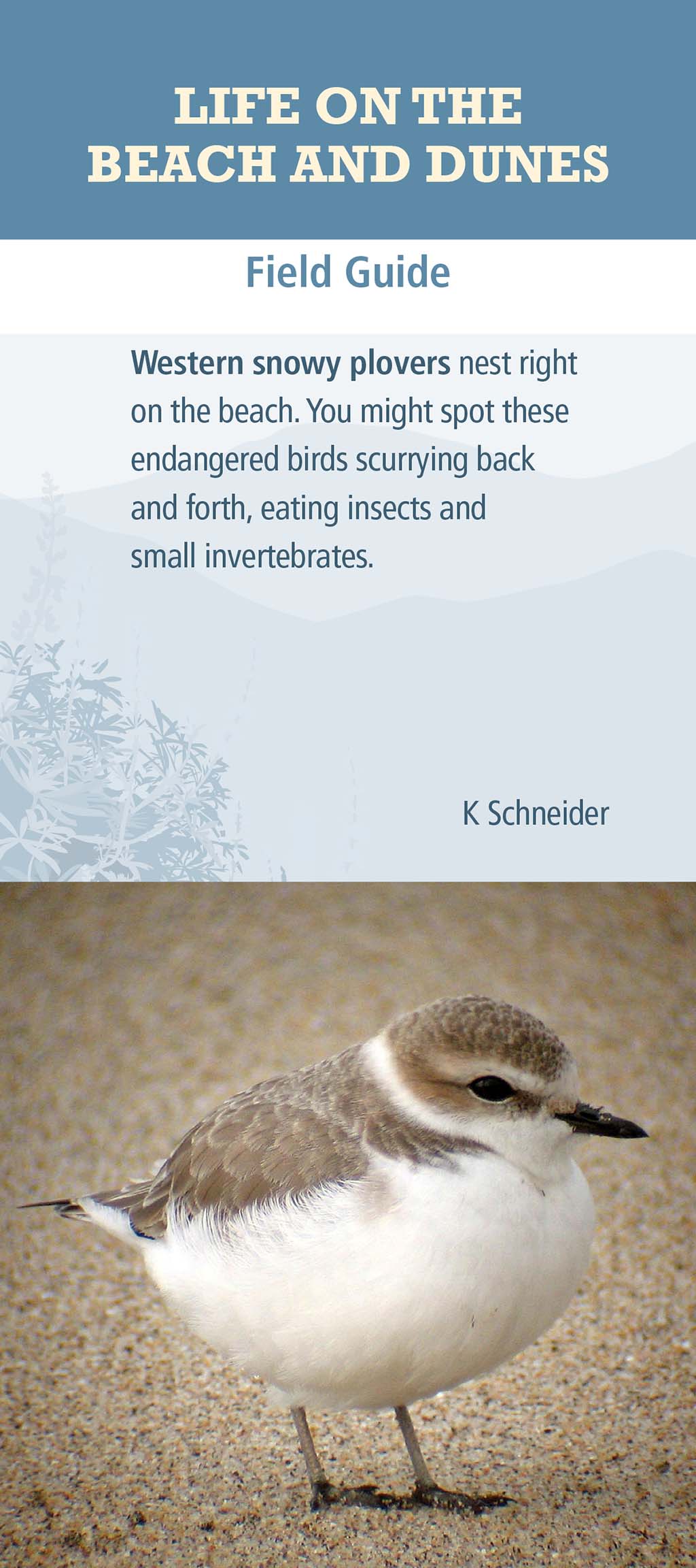 Field Guide Page 5